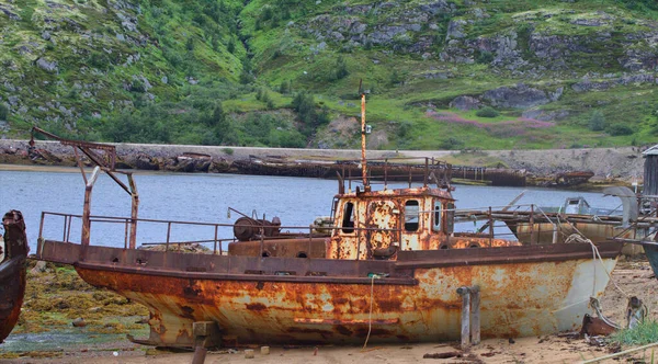 Barents Sahilinde Karaya Oturmuş Yakıt Bidonlarıyla Çevrili Yaşlı Balina — Stok fotoğraf