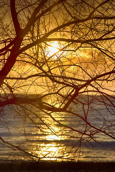 Pôr Sol Pôr Sol Sobre Lago Através Coroas Nuas Árvores — Fotografia de Stock