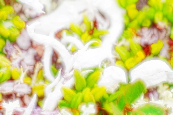 Абстрактный Фоновый Компьютер Живые Фантастические Растения Странные Цветы Любовное Зелье — стоковое фото