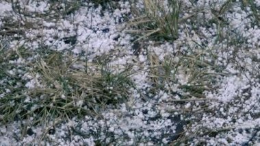 Tapioca karı (graupel))