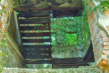 Sarmaşıklı ev, parklı terk edilmiş malikane, kayıp cennet, toplu göç.