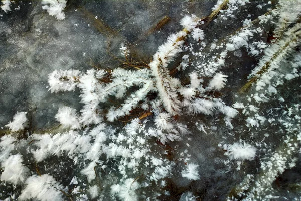 Fondo Hielo Marino Cerca Estructura Hielo — Foto de Stock