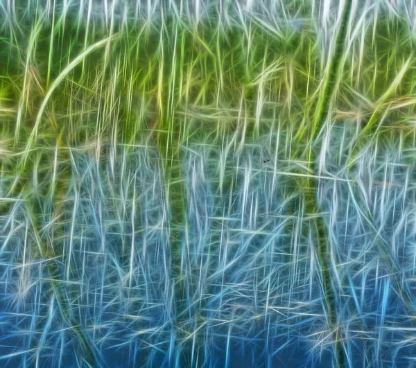Abstraktes Fraktales Licht Hintergrund Verallgemeinerung Von Naturbildern Wasservegetation Und Reflexion — Stockfoto