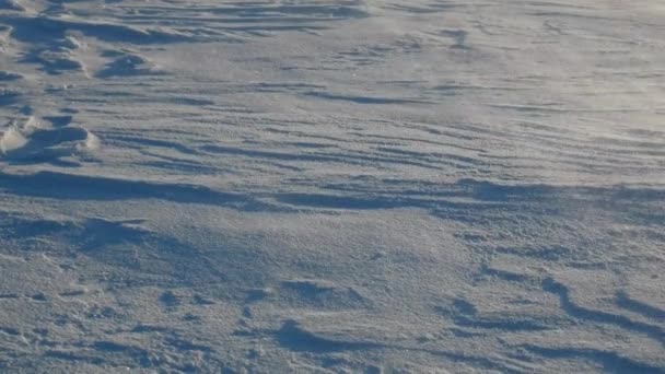 雪が降ることなく地面に近い雪をドリフト — ストック動画