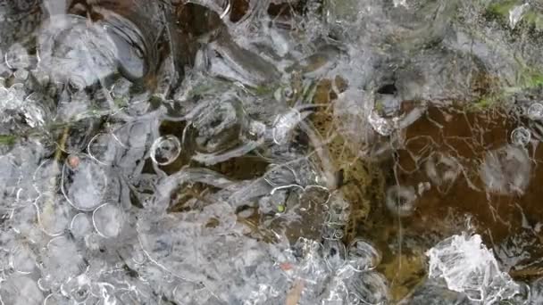 Повітряні бульбашки рухаються під першим льодом — стокове відео