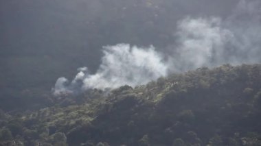 Uzakta, bir orman yangını başlıyor..