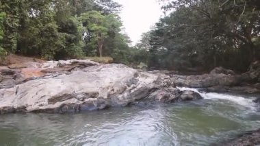 Bitmeyen yeşil bir yağmur ormanında akarsu