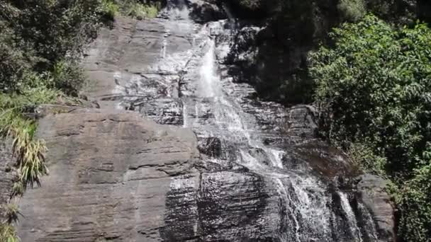 Cascada entre bosques tropicales de montaña — Vídeo de stock