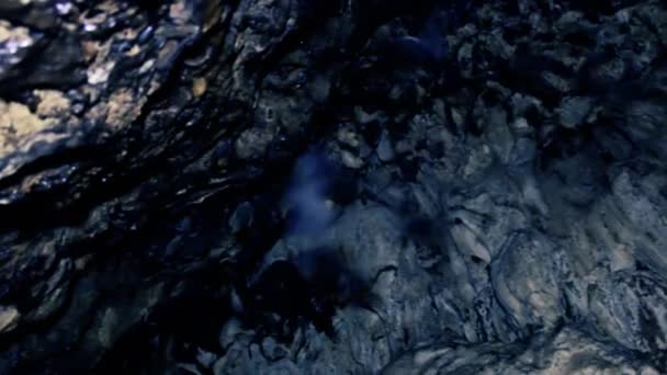 Кажани висять біля входу в печеру — стокове відео