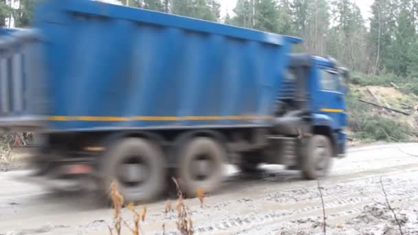 Camión volquete en un camino de bosque fangoso — Vídeos de Stock