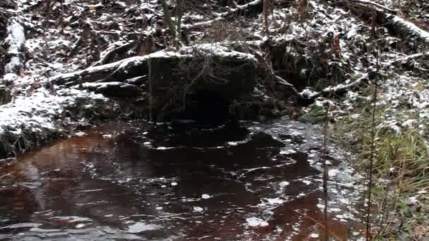 Acqua di torba nera fuoriesce dal tubo di drenaggio — Video Stock