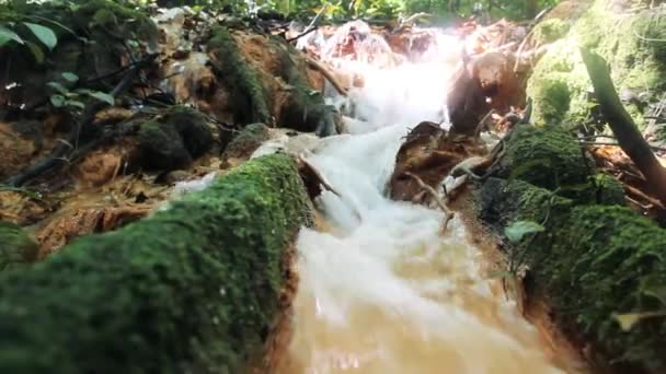 Górski strumień wpada do drewnianego koryta — Wideo stockowe