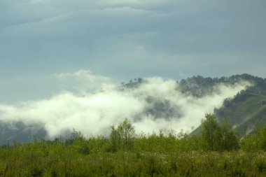 Altai Cumhuriyeti 'nin dağlarının manzarası. Akşamları çayırdaki manzaralar