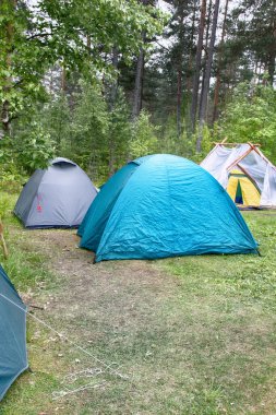 Yazın ormanda çadırla kamp yapmak.