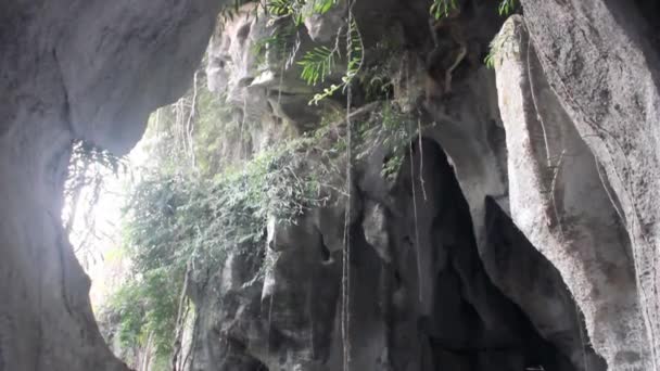 Вхід в печеру — стокове відео