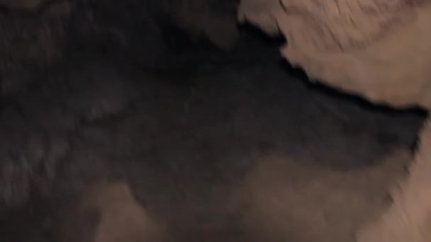 Ze stropu visí shluky stalaktitů — Stock video