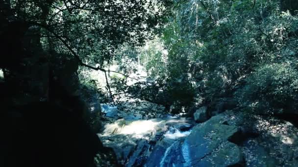Waterval tussen tropische bergbossen — Stockvideo