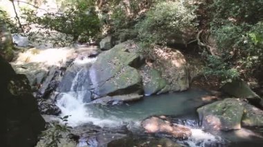 Tropikal dağ ormanları arasında şelale