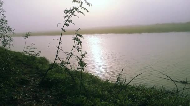 Napkelte a ködben a folyó és a rétek felett — Stock videók