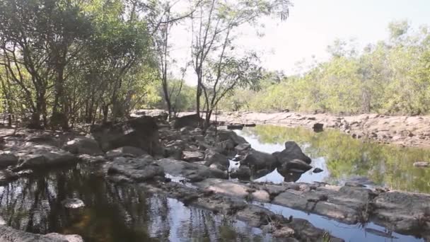 Section de la rivière en aval de l'énergie hydroélectrique — Video