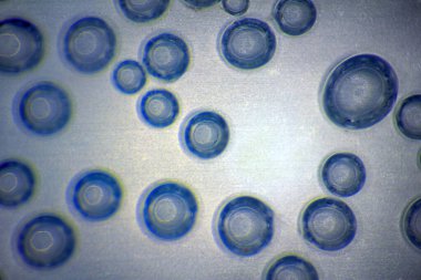 Harmonik arkaplan (ekran koruyucu). Suyun içindeki hava kabarcıkları (beb) ışıkta, pürüzsüz yüzeyde. İç tasarım, tasarım yaratıcılığı,