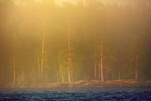 Huge lake Onega in Western Russia. Forest cape in haze