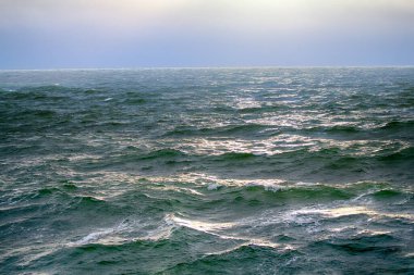 Güney Rusya 'da baraj denizi. Yüksek verimli ekosistemlere sahip soğuk deniz