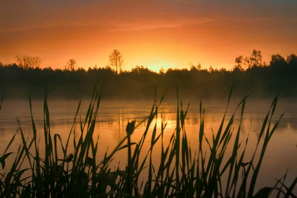 Lugn Behaglig Varm Sommar Regn Och Dimma Över Floden Vid — Stockfoto