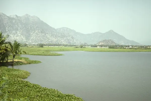 丘陵地帯にある大きな熱帯湖です 緑の色調の風景 — ストック写真