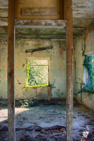 Ciudad Fantasma Capturado Plantas Vida Silvestre Casa Ventana Escalada —  Fotos de Stock