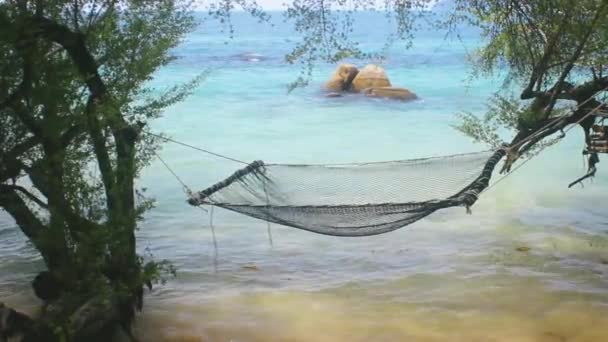 Hammock on the shore of the Andaman sea — Stock Video