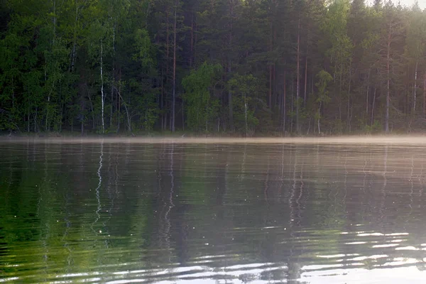 Forest Lake Fog Rises Water Summer Morning — Stock Photo, Image