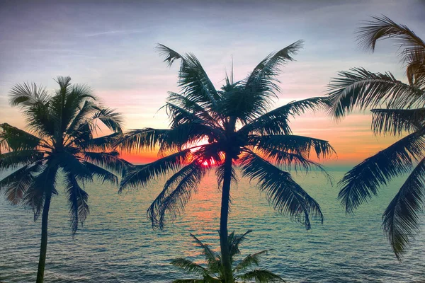 Tropischer Strand Mit Kokospalmen Bei Sonnenuntergang Einem Warmen Tag — Stockfoto