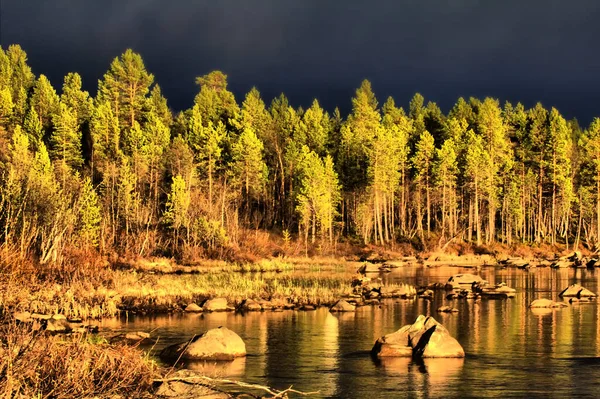 Respira Antes Zambullirte Bosque Luz Puesta Sol Rojo Fondo Tormenta — Foto de Stock