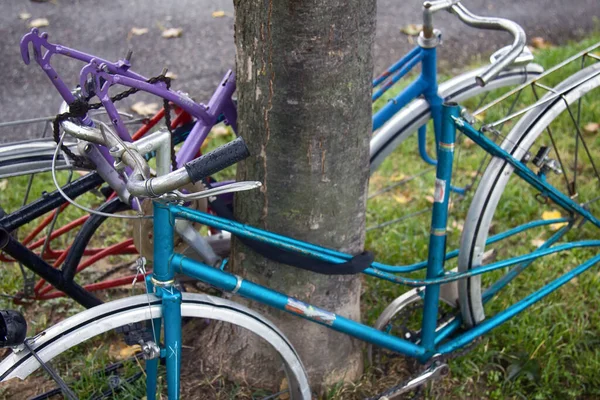 Autunno Momento Perfetto Andare Bicicletta Bicicletta Bicicletta Composizione Bici Foglie — Foto Stock