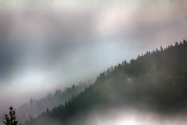 Morning Fog Creeps Scraps Autumn Mountain Forest — Stock Photo, Image