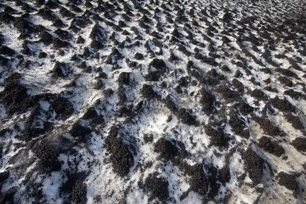 黒雪2 地球の人間の汚染の直接的な主張 反対の組み合わせの概念 — ストック写真