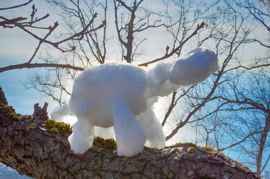 Ormanda, güneş ışınlarında ışığa karşı komik donmuş kaplumbağa. Kış eğlencesi, kar yağdır. Çocuklar ve gençler için kar figürleri. Noel eğlencesi, çocuk eğlencesi