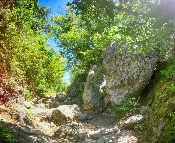 Crimean Hiking Route Ancient Trail Trodden Limestone Millions Feet Thousands — Stock Photo, Image