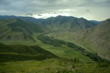 Altai Dağları. Tipik çayır ve orman manzarası.
