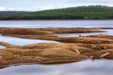 Hidroelektrik kaynaklı su boşaltımı, nehrin dibi açığa çıktı. Beklenmedik bir felaket, kızarmış balık ve su böcekleri öldürüldü. DPHDR6 ile HDR Ton Haritalı
