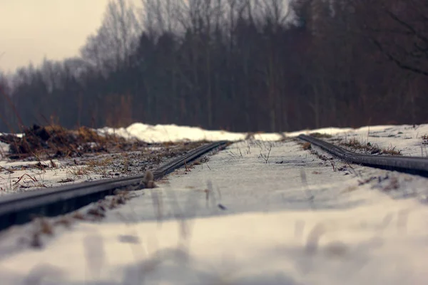 Narrow Gauge Railroad Dolly Way Logging Remains Camps Political Prisoners — Stock Photo, Image