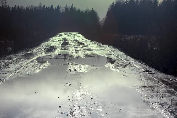 Winter Dirt Way Glitters Ambient Light Contrast Dark Forest Wood — Stock Photo, Image