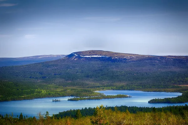 Desde Cima Meseta Con Vistas Valle Entre Bosques Pinos — Foto de Stock