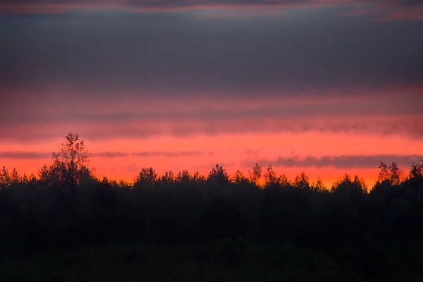 Crimson Solnedgång Och Taggiga Kanten Träd Linjära Belysta Moln — Stockfoto