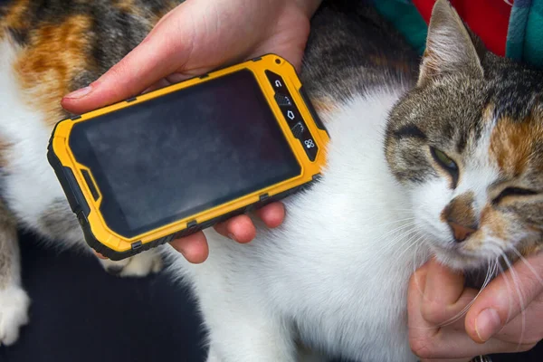 Menina Tocando Música Smartphone Para Seu Gato Amado Purrs Gato — Fotografia de Stock