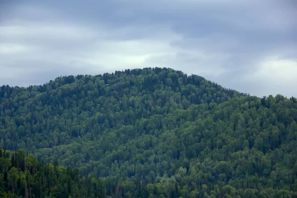 Verde Montaña Cresta Escena Parte Baja Del Prado Montaña Altai — Foto de Stock