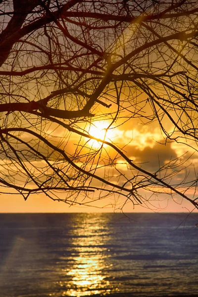 Wintersonnenuntergang Sonnenuntergang Über Dem See Durch Kahle Baumkronen — Stockfoto