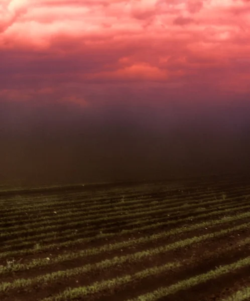 Schwarzer Blizzard Staubteufel Staubwirbel Auf Landwirtschaftlichen Flächen Verlust Von Boden — Stockfoto