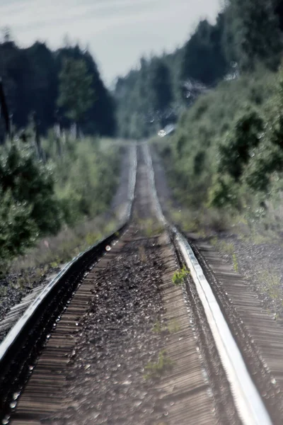 Estrada Através Floresta Ferrovia Perdida Neblina Dia Verão Ferrovia Caminho — Fotografia de Stock